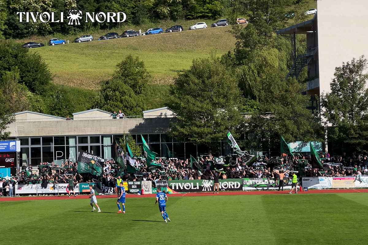 schwaz5