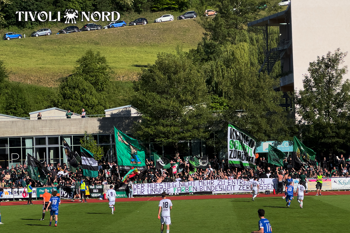 schwaz6