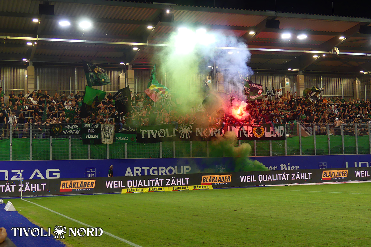 linz15