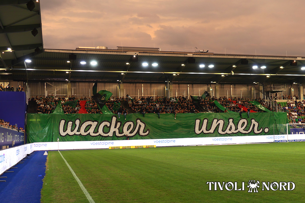 linz7