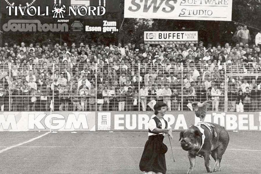 zwerg+schwein
